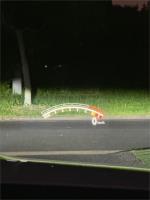 2015 BMW M3 4D SEDAN F80 MY15